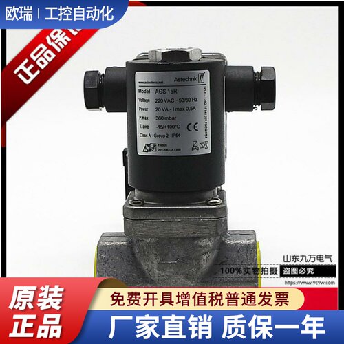 Astechnic 天然气电磁阀AGS15R(DN15)  AGS 15R   AC220V
