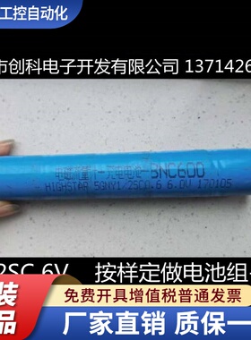 电磁流量计充电电池 BNC600 HIGHSTAR 5GNY 1/2SC 0.6AH 6.0V电池