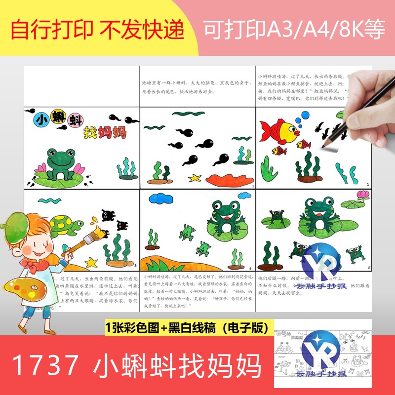 1737小蝌蚪找妈妈青蛙成长过程绘本读书故事手抄报模板电子版