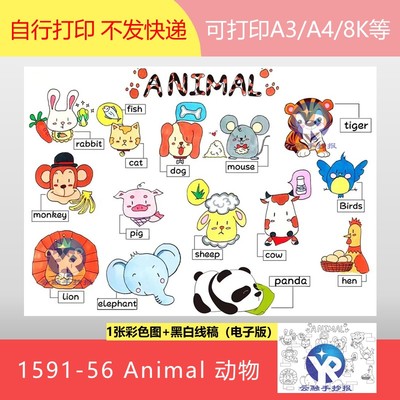 1591-56动物名称Animals小学一三五年级英语单词手抄报模板电子版