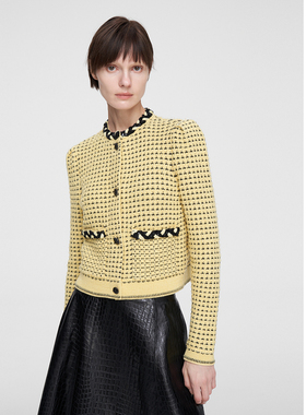 ELLASSAY歌力思早春新款山羊绒花纱高级精致针织衫女EWF351M01400