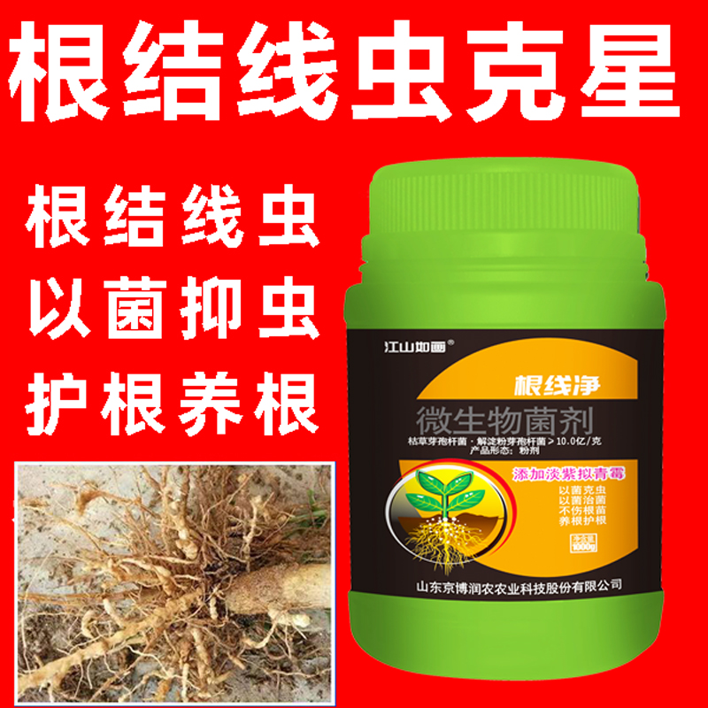 根结线虫专用药淡紫紫孢菌拟青霉根线清黄瓜根线净克星根线虫专用