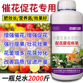 催花促花座果壮花壮果促花防落素座果树瓜果蔬菜膨大叶面肥料 包邮