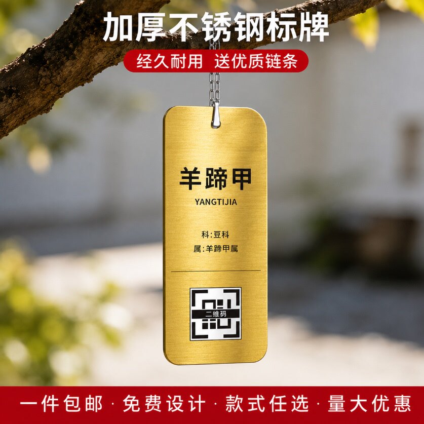 不锈钢树木介绍铭牌可定制送挂绳