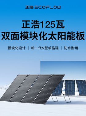 正浩EcoFlow 125瓦双面模块化太阳能板 电池光伏发电板家用户外露营防水折叠便携充电