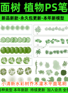 平面树植物ps笔刷水彩树乔木灌木总平面图灰色彩平小清新植物笔刷