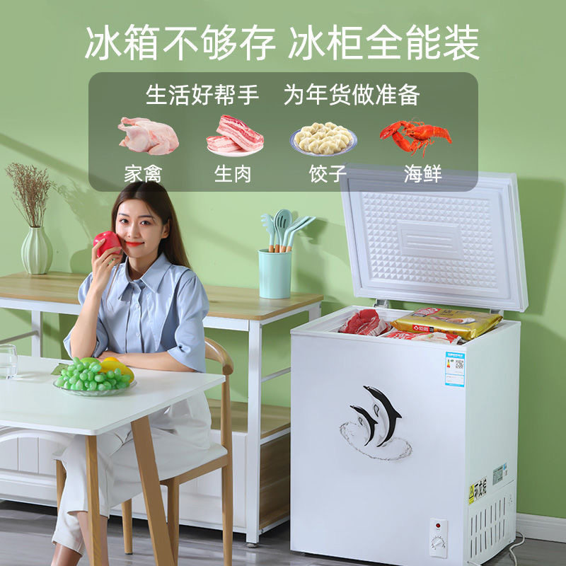 荣事达一级节能冰柜家用小型全冷冻冷藏两用非无霜冰箱迷你商冷柜