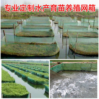 专用网箱养殖网养鱼苗网箱定做带盖泥鳅黄鳝养殖网箱小龙虾防逃网