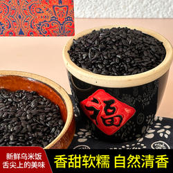 新鲜畲族乌米饭半成品新鲜乌饭草南烛叶浸泡地方特色乌米干黑糯米