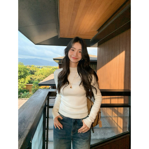 回归舒适黑色半高领长袖上衣