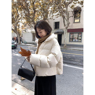 pusumede黑色立领短款羽绒服女秋冬90白鸭绒高级感宽松小个子外套