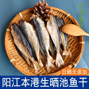 渔民新鲜生晒池鱼自晒无添加巴浪鱼干阳江闸坡特产淡盐传统工艺