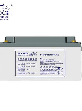 LEOCH理士蓄电池DJM1265S铅酸免维护机房UPS电源EPS直流柜12V65AH
