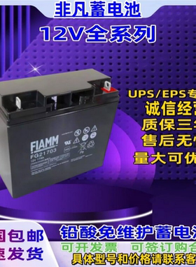 FIAMM非凡蓄电池FG21703免维护12V17AH UPSEPS通讯消防电力直流屏