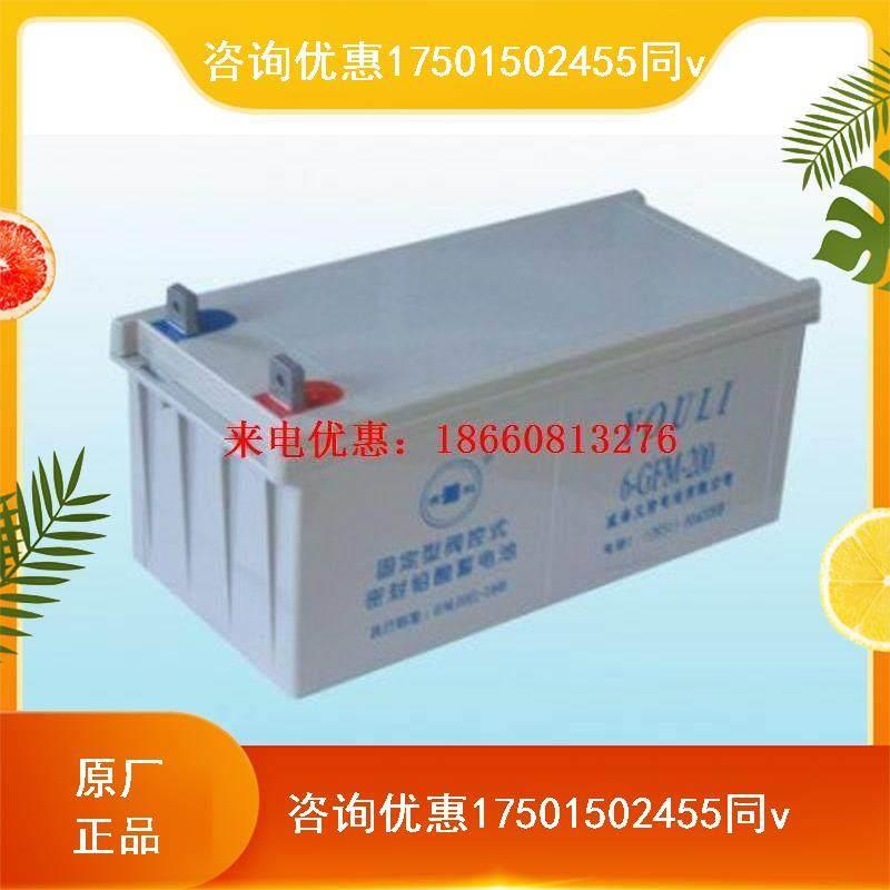 YOULEE有利蓄电池GFM-100 2V100AH机房风电站UPS电源直流屏专用