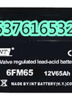 INT蓄电池6FM120铅酸免维护12V120AH 机房 基站 消防 通讯 EPS