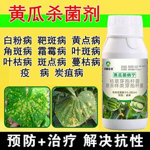 黄瓜病毒病专用药病菌清靶斑病黄斑病白粉叶枯立枯霜霉病药非农药