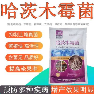 哈茨木霉微生物菌剂灰霉病霜霉病立枯根腐病猝倒枯草芽孢杆菌农用