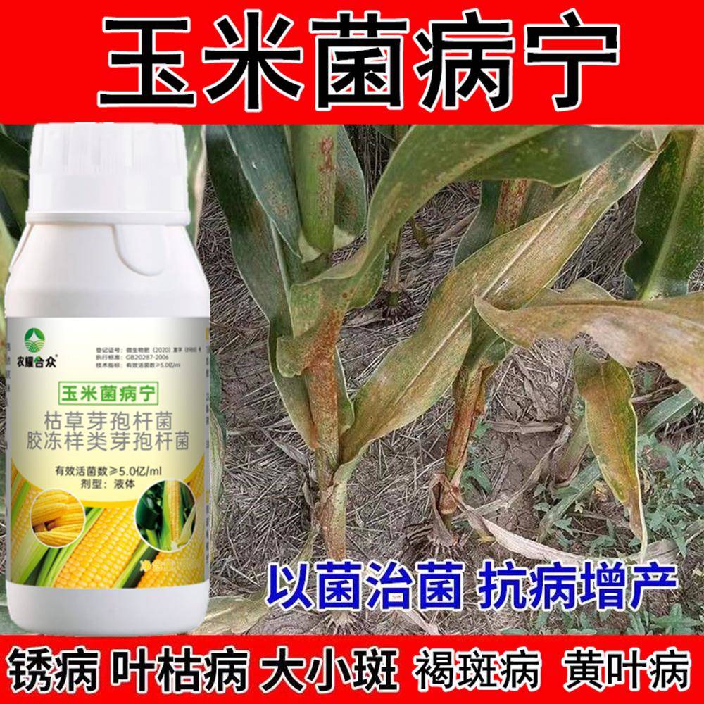 玉米锈病专用药防病增产剂黄叶病枯萎根腐枯叶焦叶病菌立清杀菌剂