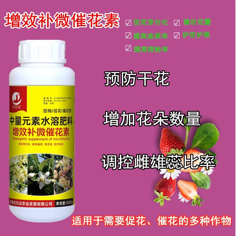 授粉坐果精受粉催花剂促花坐果灵君子兰开花保花保果药防落果肥料 - 实物图