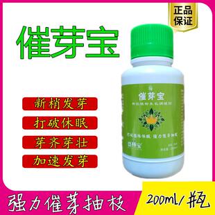 果树催芽苗木移栽花卉分裂素樱桃催芽剂发枝素快生长新芽抽芽宝速
