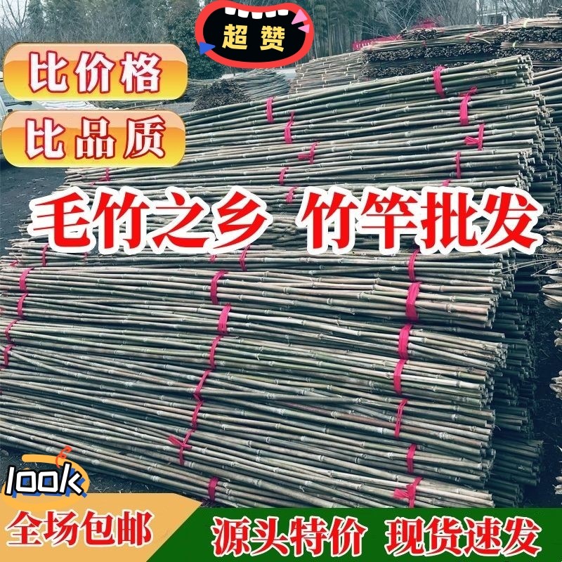 竹竿菜园搭架竹子杆四季豆角架杆子菜架竹种菜架子围栏爬藤架豇豆