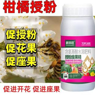 柑桔授粉药柑橘强力授粉柑橘坐果灵保花保果防落果防裂柑桔座果灵