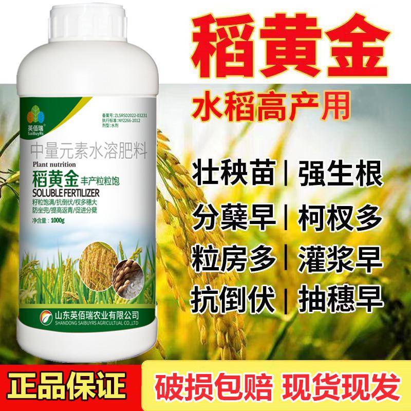 稻黄金水稻专用肥叶面肥反清分蘖液体肥增产剂抗倒伏生根剂营养液