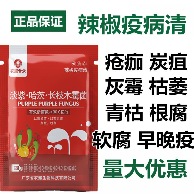 辣椒一喷净专用药炭疽菌核疫病病毒病全根腐病叶斑小叶病杀菌剂治