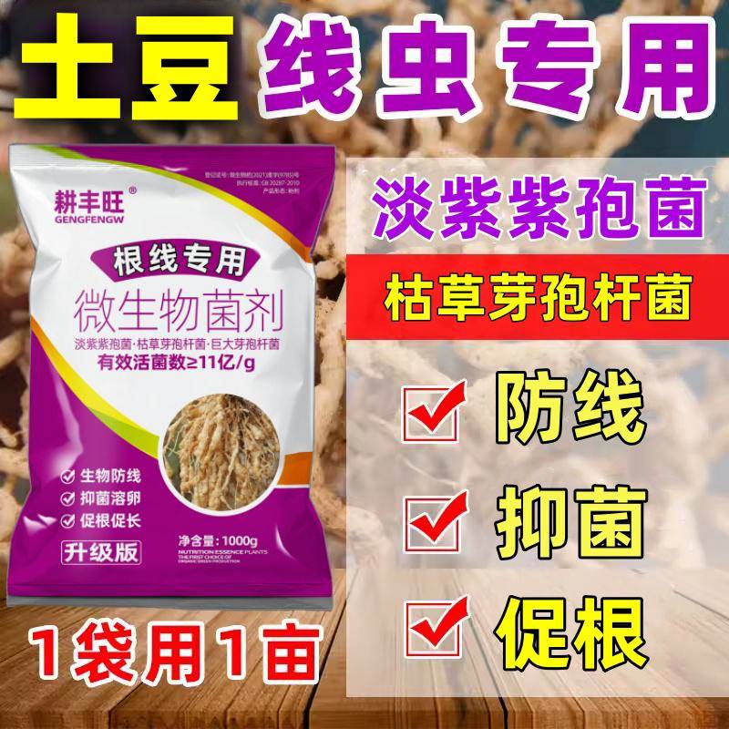 土豆根结线虫专用马铃薯线虫药淡紫紫孢菌枯草芽孢杆土豆线虫克星