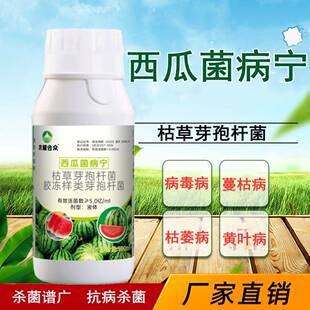 西瓜杀菌剂病菌清甜瓜炭疽病白粉病叶斑病根腐病叶枯病专用防病药