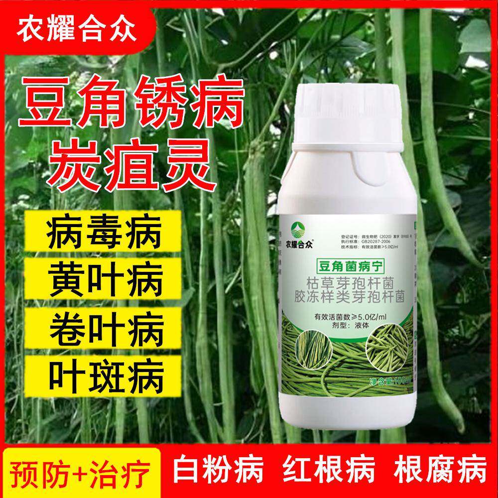 豆角专用药非农药豇豆病菌清锈病黄叶枯萎病疫病灰霉病农用杀菌剂