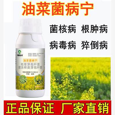 油菜根肿病专用药农用油