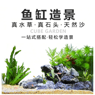 鱼缸造景摆件鱼缸造景生态全套小米鱼缸造景成品草缸当贝鱼缸造景