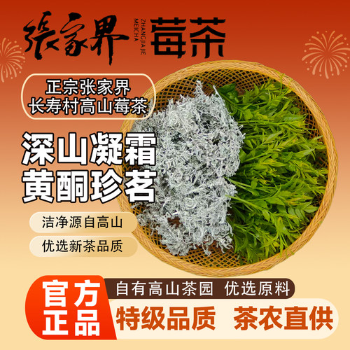正宗张家界特级野生龙须芽尖莓茶