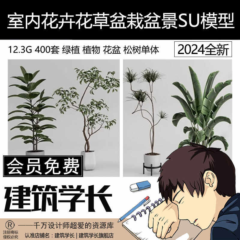 绿植植物花盆盆栽盆景松树单体草图大师SU模型室内花卉花草素材库