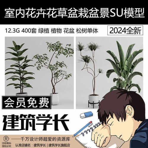 绿植植物花盆盆栽盆景松树单体草图大师SU模型室内花卉花草素材库