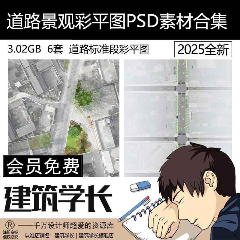 道路景观彩平图PSD素材合集小清新道路标准段彩平图四车六车道路