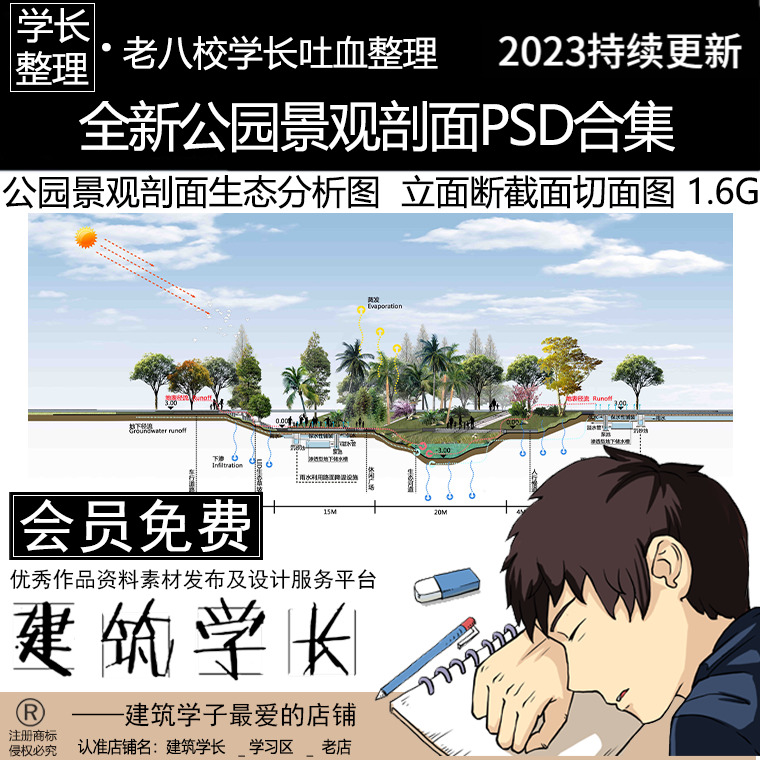 全新剖面生态分析图PSD素材合集 公园景观园林城市立面断截面