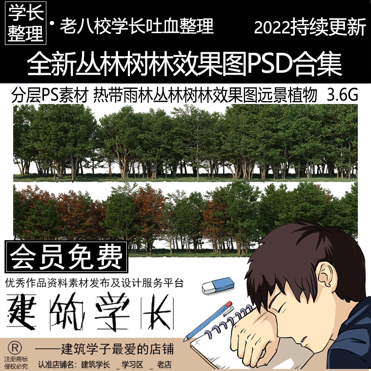 全新丛林树林效果图psd合集 热带雨林丛林树林效果图远景植物