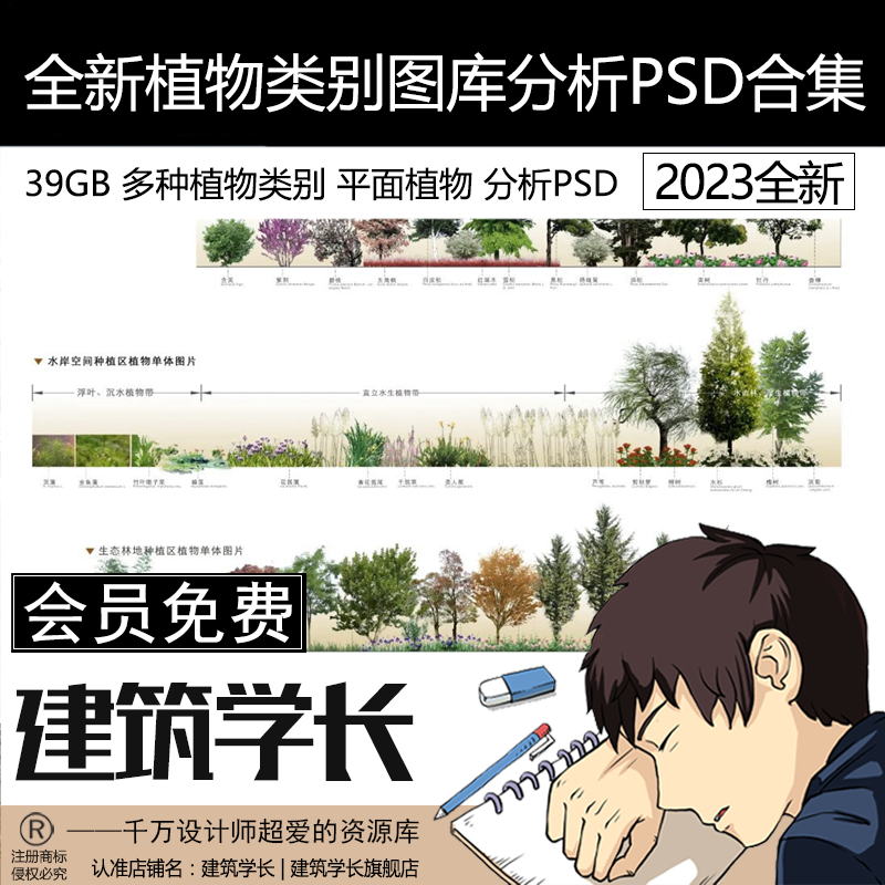 全新植物分析PSD及多品种平立面植物百科PNG图 花草SU模型合集