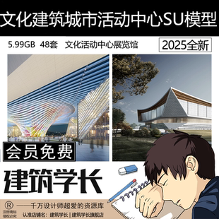 文化建筑城市文化活動(dòng)中心展覽館博物館建筑規(guī)劃設(shè)計(jì)SU模型效果