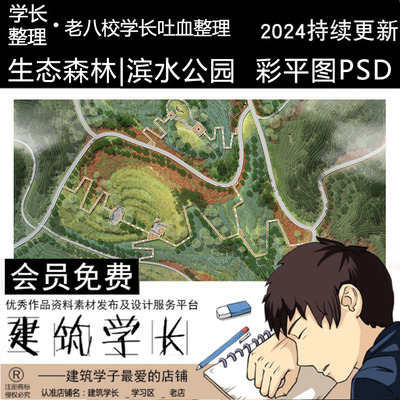 生态森林滨水湿地公园天桥雨水花园彩色总平面PSD国际风ps素材