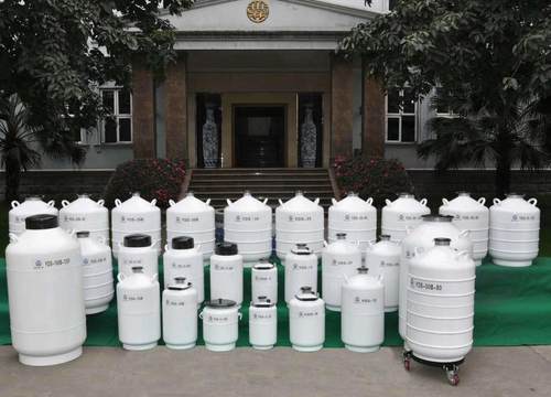 亚西牌液氮罐生物容器YDS231030350125200杜瓦瓶畜牧科研医院北京
