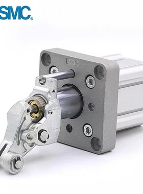 SMC原装RSA/RS1H/RS2H50-30DL/DM/BL/BM/TM/TL-D/C/DQ/DR阻挡气缸