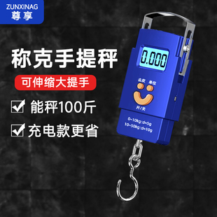 可称100斤便携手提高精度手提电子秤家用弹簧小型称重迷你吊钩称