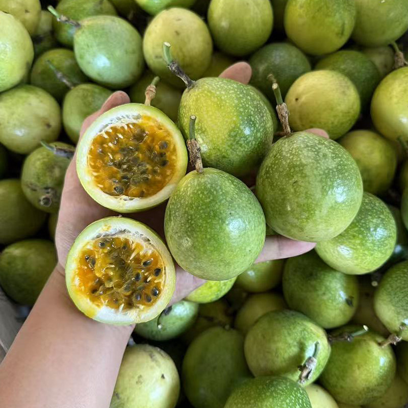 ��������9�Żƽ������������ʲ�ժ�����и�ˮ��