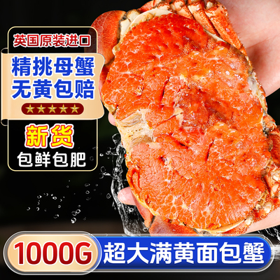面包蟹鲜活特大母帝王蟹熟冻大螃蟹海蟹新鲜海鲜水产黄金蟹珍宝蟹