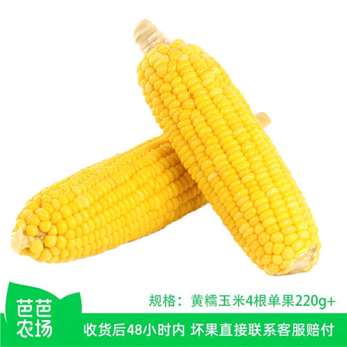 【芭芭农场兑换】黄糯玉米4根单根220g+