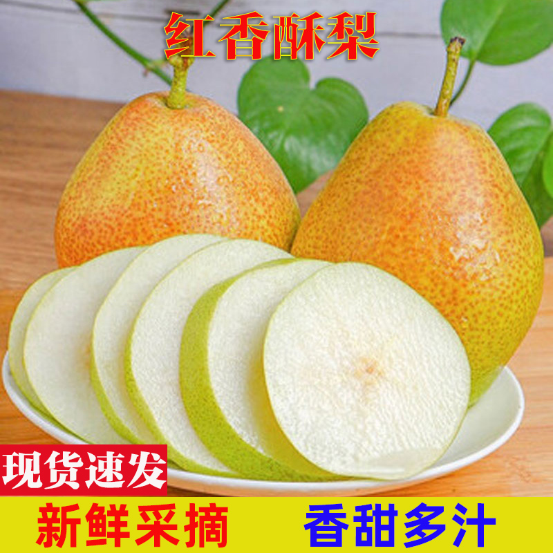 红香酥梨】现摘陕西红香酥梨新鲜梨子当季正宗香酥梨雪梨脆甜酥脆